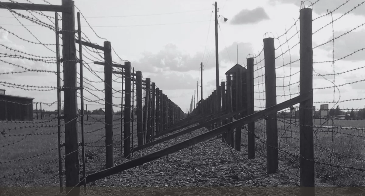 Wydarzenia, Spacer śladach wojennych obozów - zdjęcie, fotografia