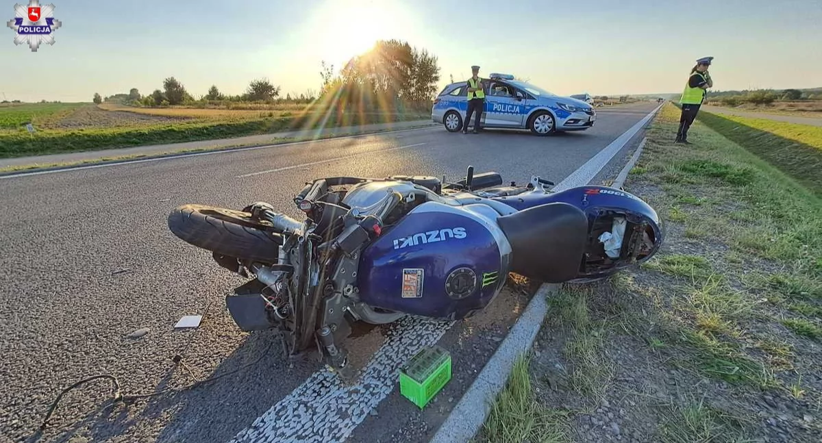 Wypadki i kolizje, Śmiertelne spotkanie łosiem - zdjęcie, fotografia