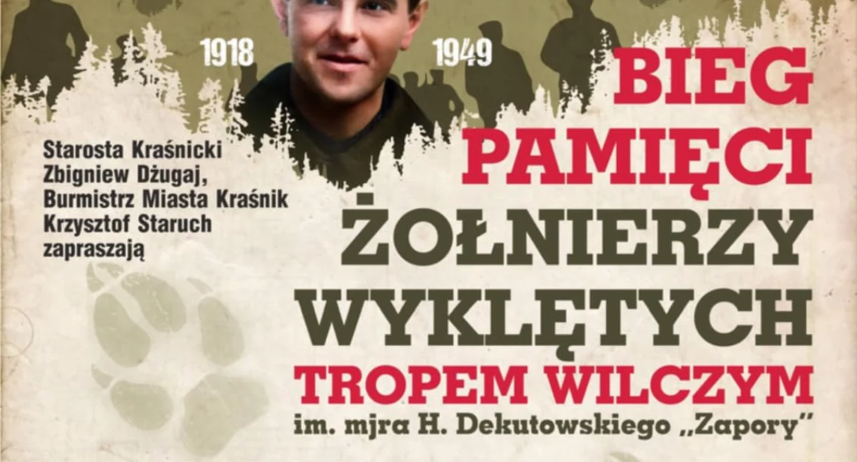 Biegi, Tropem Wilczym Słonecznej Polanie - zdjęcie, fotografia