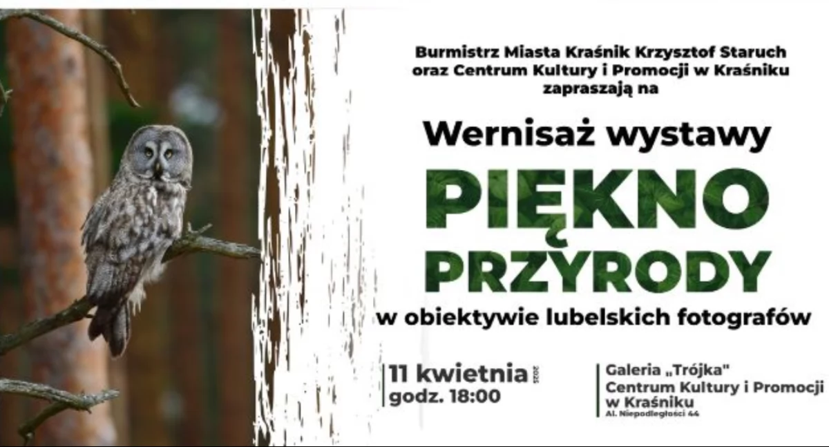 Wydarzenia, Czołówka lubelskich fotografów wystawie Kraśniku - zdjęcie, fotografia