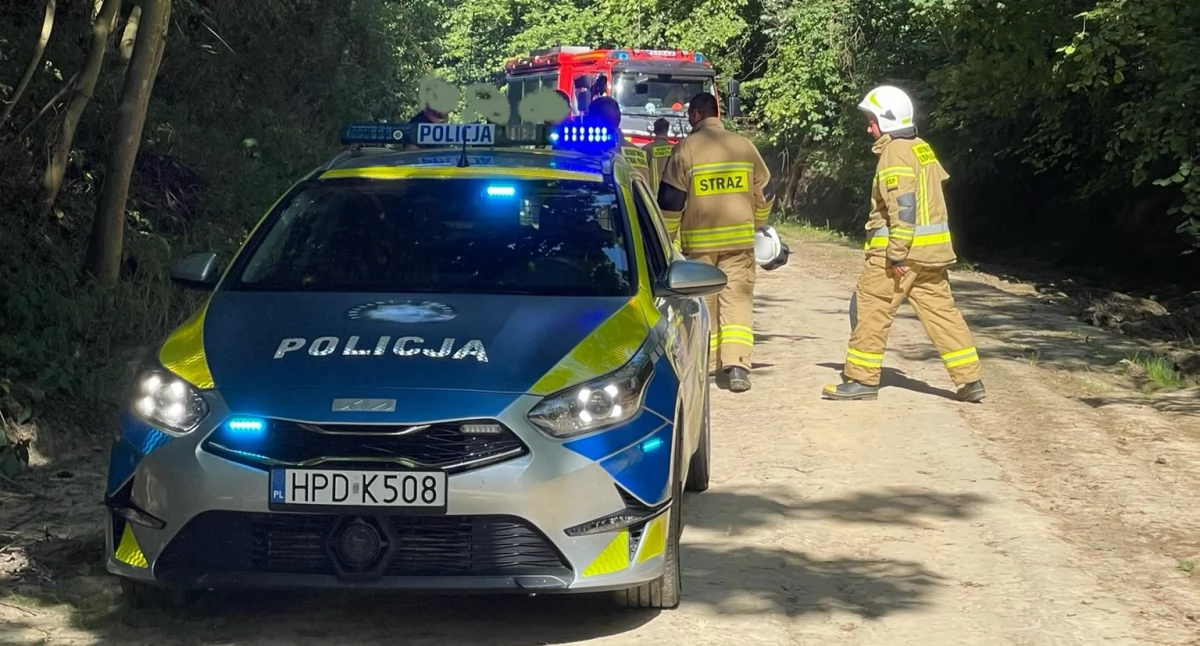 Straż pożarna, Dzieci przysypała ziemia - zdjęcie, fotografia