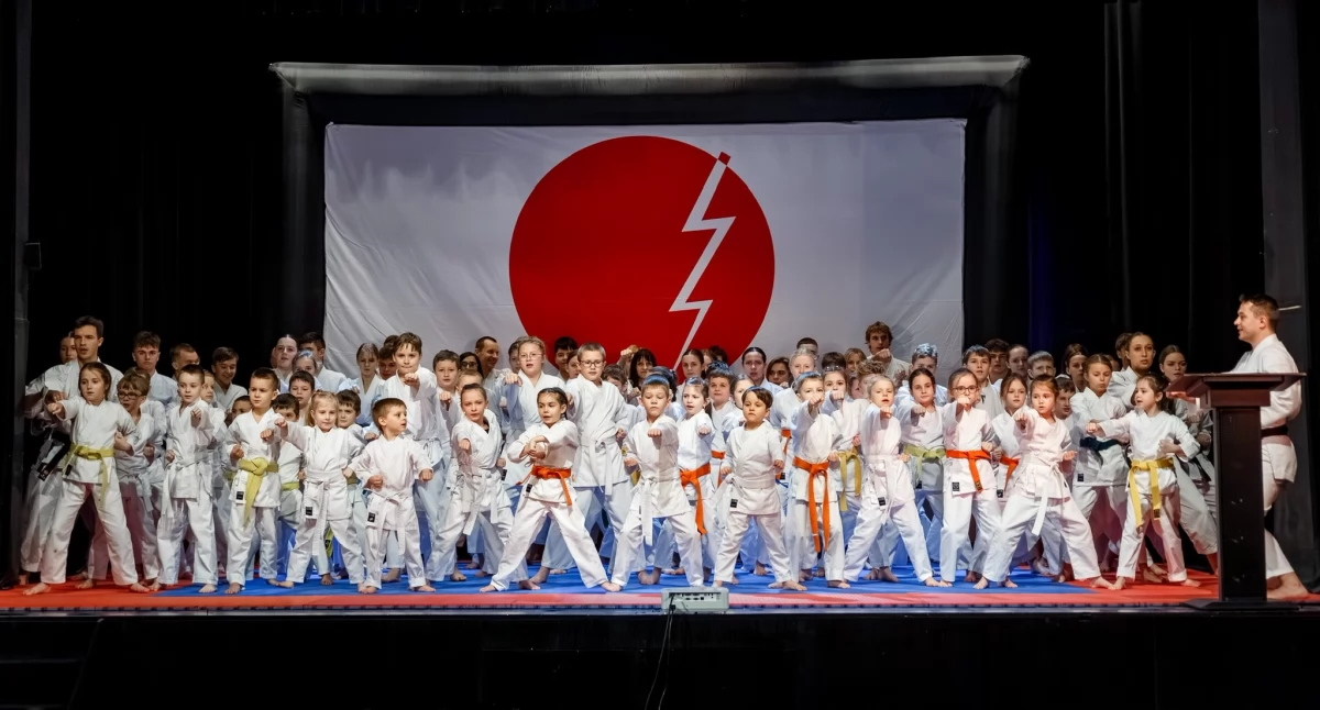 Sporty walki, Chidori uroczysta okazji lecia Chidori - zdjęcie, fotografia