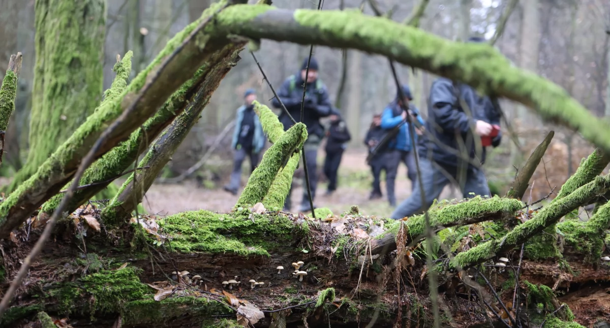 Ekologia i przyroda, Niecodzienna wycieczka Rezerwacie Marynopole leśnikami - zdjęcie, fotografia