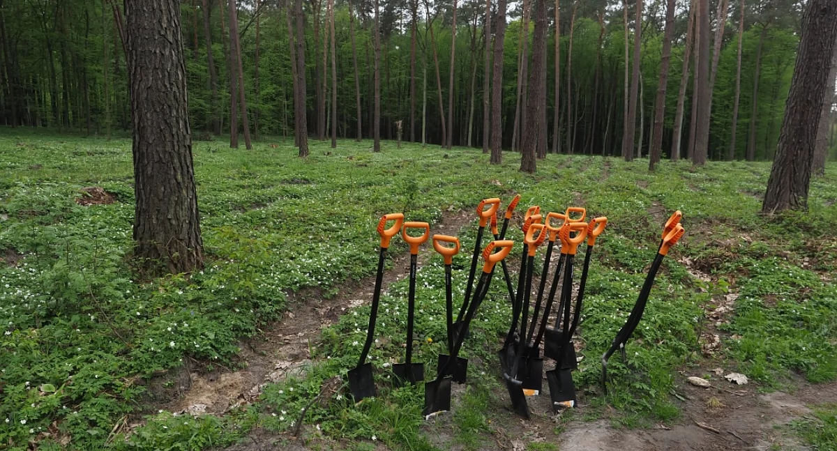 Ekologia i przyroda, Będą mniej ciąć - zdjęcie, fotografia