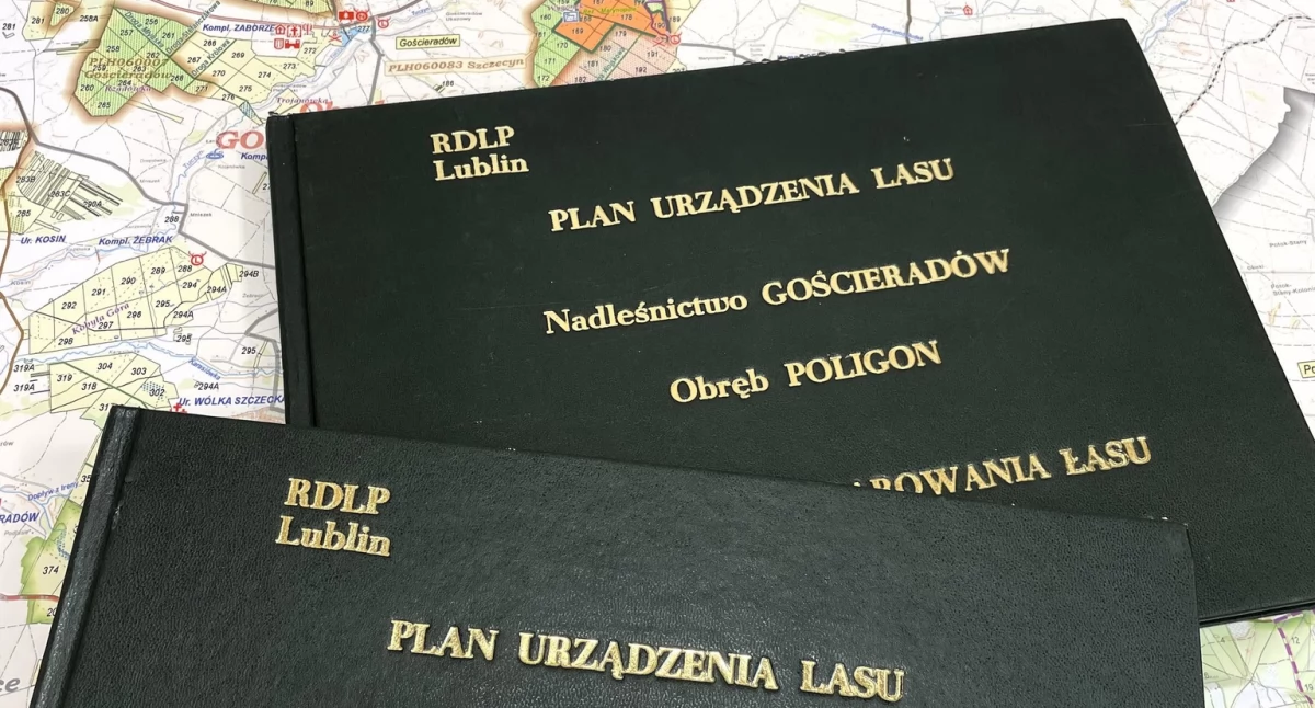 Ekologia i przyroda, Można wypowiedzieć sprawie leśnych planów najbliższe - zdjęcie, fotografia