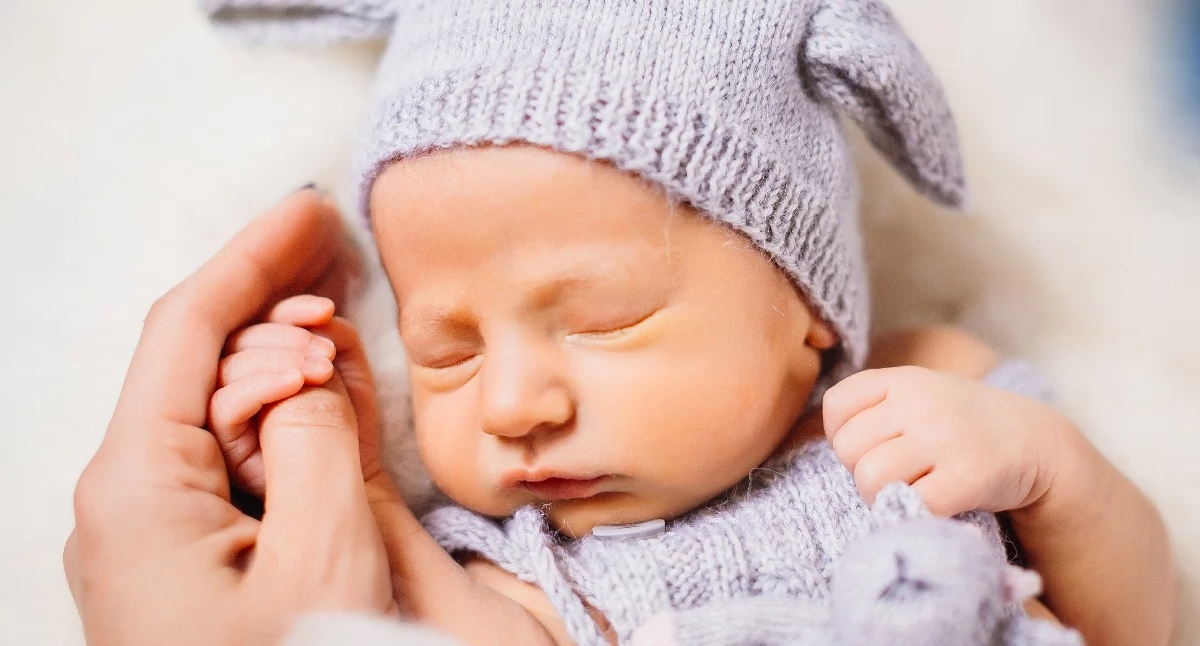 Urzędy, kraśniku rządzili Aleksander Emilia - zdjęcie, fotografia
