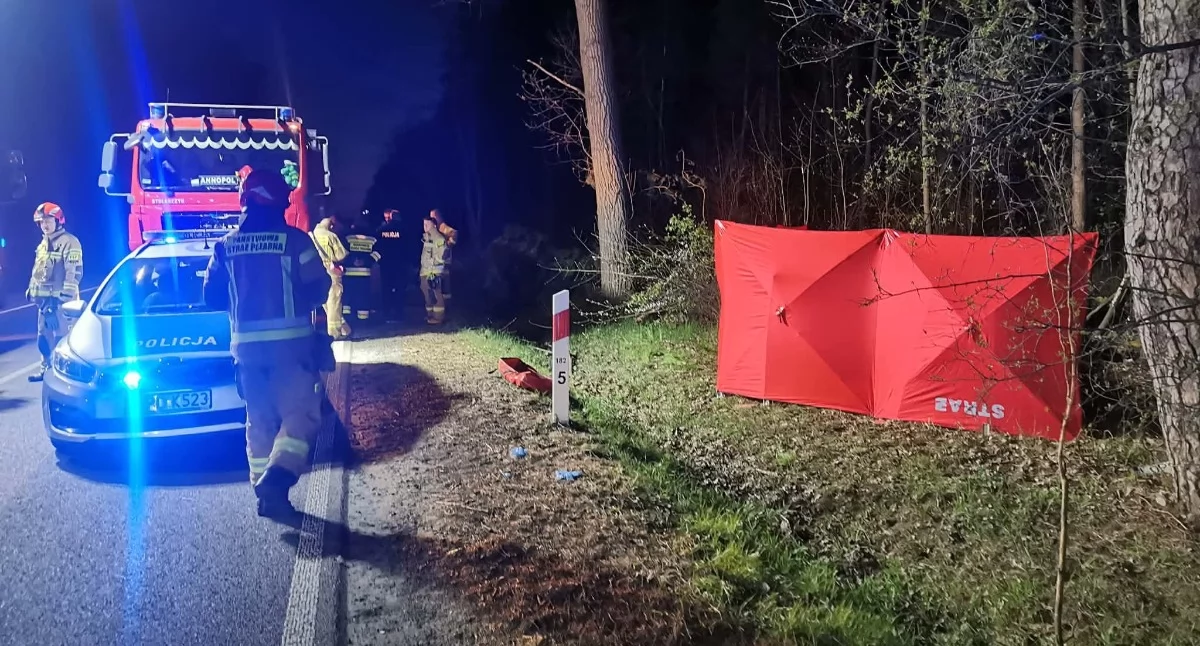 Wypadki i kolizje, Tragiczny finał wypadku drodze krajowej - zdjęcie, fotografia
