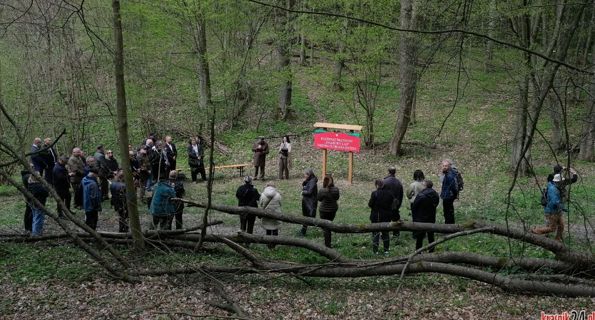 Ekologia i przyroda, Rezerwat Grabowy oficjalnie otwarty - zdjęcie, fotografia