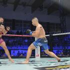 zdjęcie nr 339