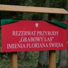 zdjęcie nr 29