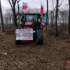 Fotka nr 4 z 17