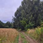Fotka nr 1 z 13