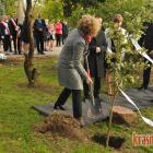 zdjęcie nr 7