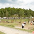 zdjęcie nr 19