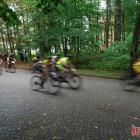 zdjęcie nr 114