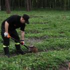 zdjęcie nr 13