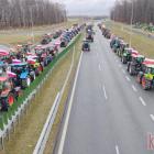 zdjęcie nr 12
