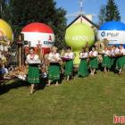 zdjęcie nr 7