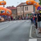 zdjęcie nr 9