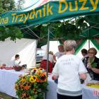 zdjęcie nr 50
