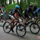 zdjęcie nr 208