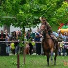 zdjęcie nr 223