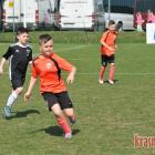 zdjęcie nr 144