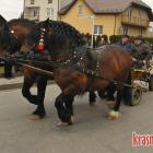 zdjęcie nr 113