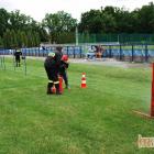 zdjęcie nr 11