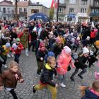 zdjęcie nr 137