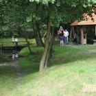 zdjęcie nr 29