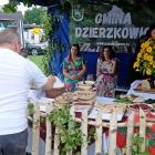 zdjęcie nr 40