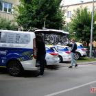 zdjęcie nr 119
