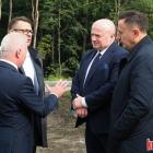 zdjęcie nr 11
