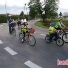 zdjęcie nr 11