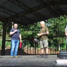 zdjęcie nr 29