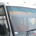 zdjęcie nr 10