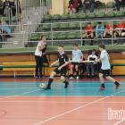Fotka nr 1 z 117