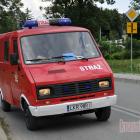 zdjęcie nr 225