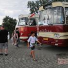 zdjęcie nr 342