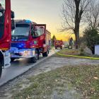 zdjęcie nr 7