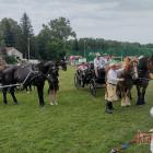 zdjęcie nr 48