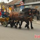 zdjęcie nr 122