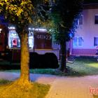 zdjęcie nr 8