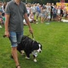 zdjęcie nr 67