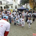 zdjęcie nr 22