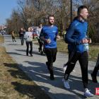 zdjęcie nr 180