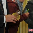 zdjęcie nr 15