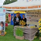 zdjęcie nr 107