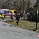 zdjęcie nr 25